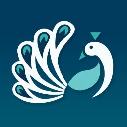 Peacock Studios - Webflow