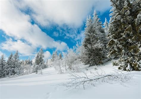 Premium Photo | Winter mountain snowy landscape