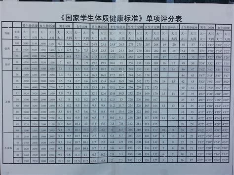 关于2017年信息科技学院 实施《国家学生体质健康标准》的通知 桂林信息科技学院