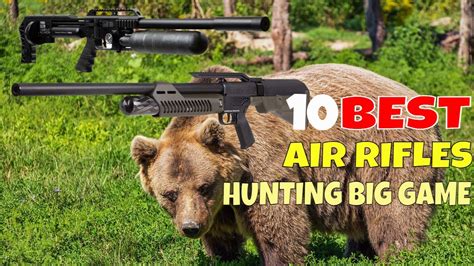 Top 10 Best Air Rifle For Hunting Big Game In 2023 Big Bore Air Rifles Stealth Hunt Stalker