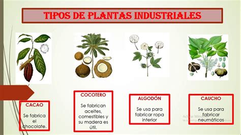 Dibujos Plantas Industriales Ejemplos Con Imagenes Ejemplo De La