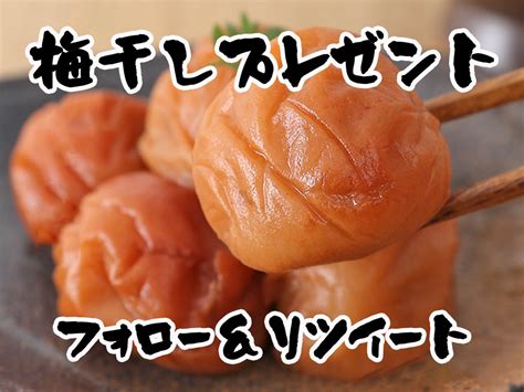 K🐰🌊6 3あつかじ♨️か 5 On Twitter Rt Baijuen Umebosi 5月最後のキャンペーンになります！6月4日 日 23 59までに｢このアカウントをフォロー