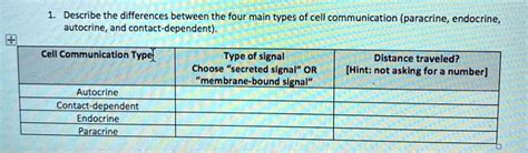 Solved Describe The Differences Between The Four Main Types Of Cell