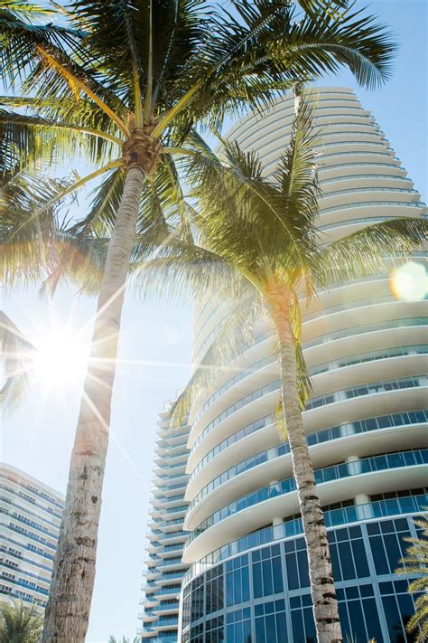 The St Regis Bal Harbour Resort Miami Beach Fl Usa Tower Palms