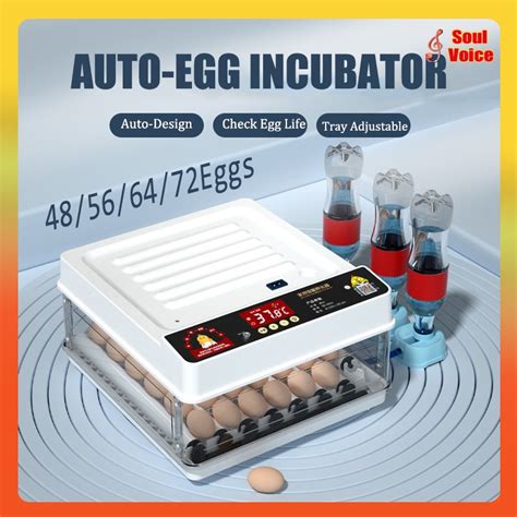 220V 12V Eggs Incubator 48 56 64 72 Automatic Thermostat Egg Hatching