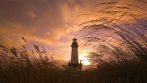 Grass Clouds Evening Beacon Yaquina Head Lighthouse Lighthouse