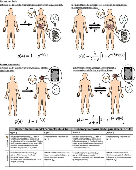 Global Variation In Force Of Infection Trends For Human Taenia Solium