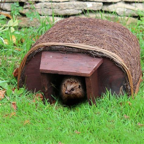 Buy Hedgehog house: Delivery by Waitrose Garden