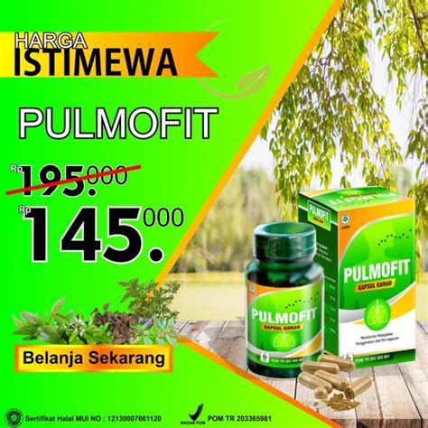 Pulmofit Kapsul Herbal Obat Paru Paru Tbc Ispa Sesak Nafas Batuk