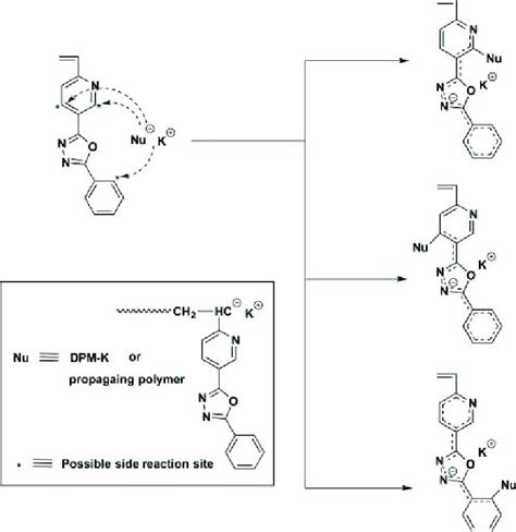 Scheme 1. Possible Side Reactions in the Polymerization of VPyOzP 14,17,55 | Download Scientific ...