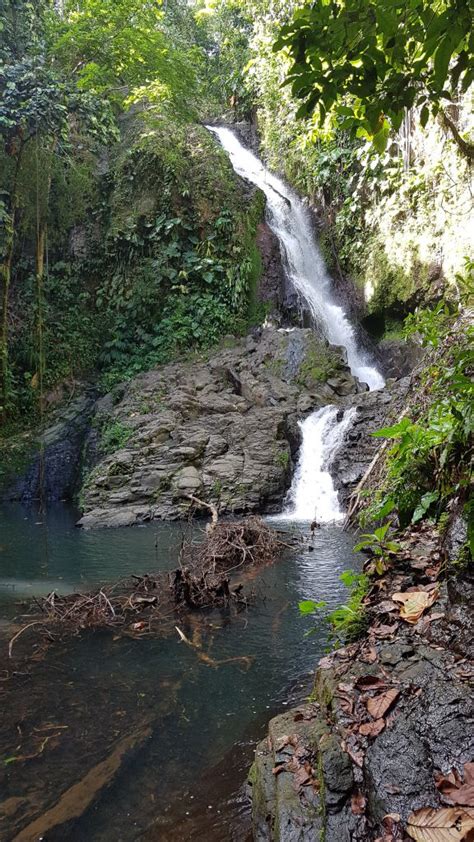 Goyave Saut De Bras De Fort Randonne Ta Vie