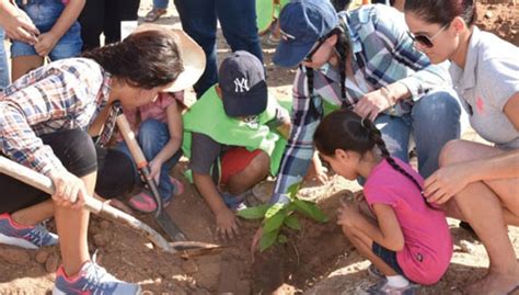 Mantiene Servicios Públicos trabajos de reforestación de parques