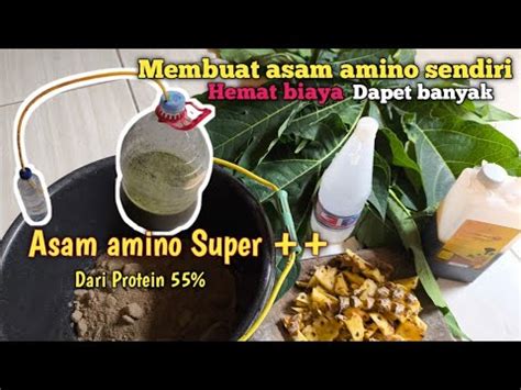 Cara Membuat Asam Amino Sendiri Dari Tepung Ikan YouTube