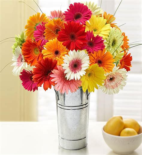 Friendship Gifts | Friendship Flowers | 1800Flowers.com