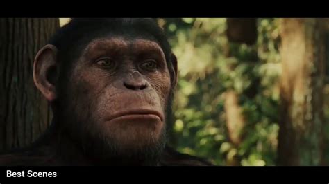 Rise Of The Planet Of The Apes 2020 Official Trailer Youtube