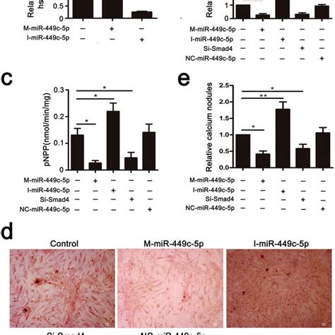 Overexpression Of Mir C P Inhibits Vics Osteogenic Differentiation