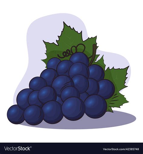 Isolated grapes purple sketch Royalty Free Vector Image