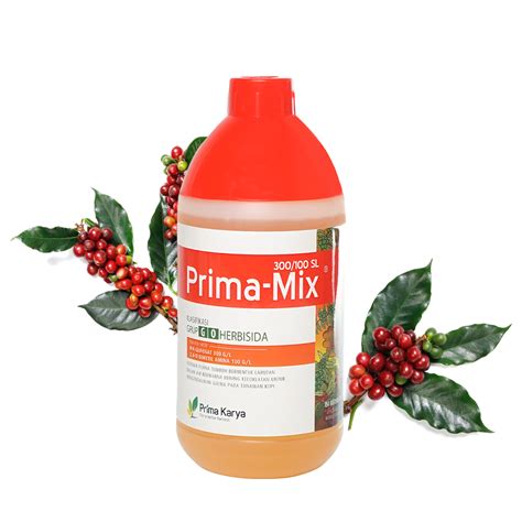Prima-Mix 300/100 SL | PKB