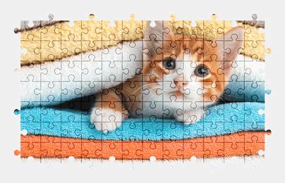 Kitten - Jigsaw Puzzles Online