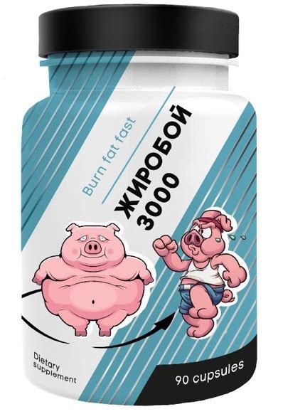 Купить big pig жиробой 3000, 90 капс в Новосибирске по низким ценам ...