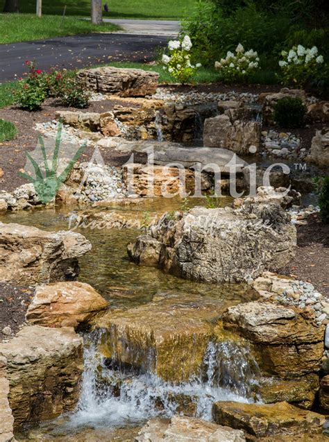 Galleries Pond Free Atlantic Water Gardens Water Features In The