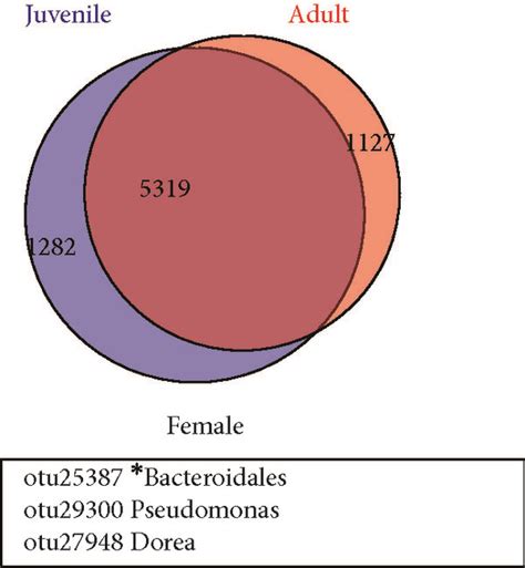 Distribution Of Bacterial Taxa Within The Four Sample Groups In Venn