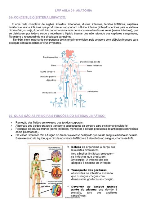 SOLUTION Lmf Aula 01 Anatomia E Histofisiologia Sistema Linf Tico