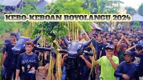 Live Acara Adat Kebo Keboan Boyolangu Youtube