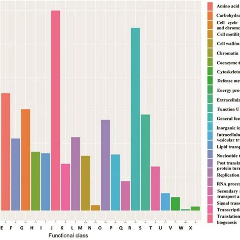 Cluster Of Orthologous Groups Cog Functional Categories In The D