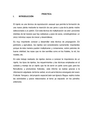 Informe Injertos Genetica PDF