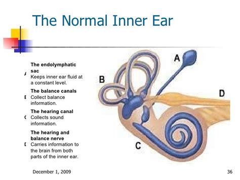 Balance Exercises: Inner Ear Balance Exercises