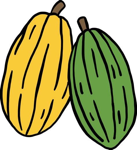 Cacao Fruit Doodle Drawing 13079123 PNG