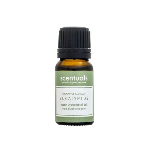 Scentuals Eucalyptus 10ml Pure Essential Oil For Wellness