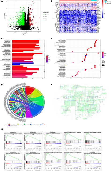 Optimizing Panel Based Tumor Mutational Burden Tmb 41 Off