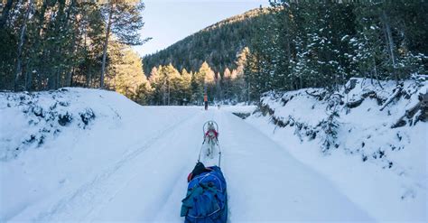 Raid En Cani Pulka Peynin Abri S Ristolas Provence Alpes C Te D