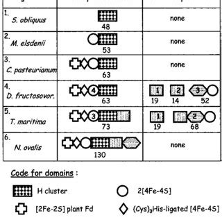 Schematic Representation Of The Modular Structure Of Fe H Ases The