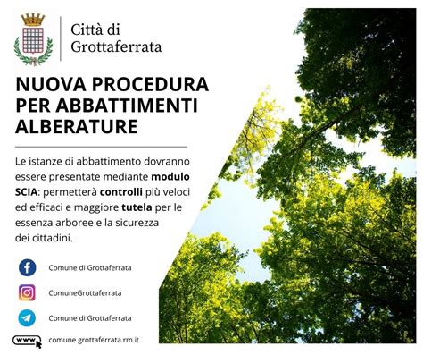 Grottaferrata Un Nuovo Strumento Per La Tutela Degli Alberi E Per La