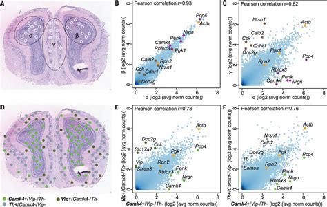 Spatial transcriptomics – quantitative gene expression data and ...