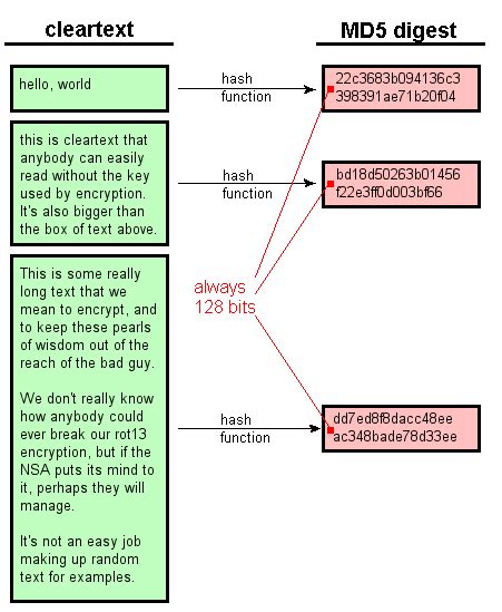 An Illustrated Guide To Cryptographic Hashes