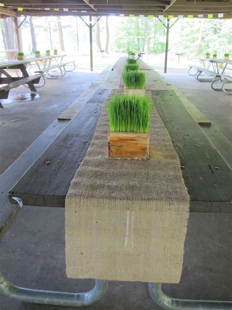 Wheat Grass Centerpiece Grass Centerpiece Green Centerpieces Wheat Grass Centerpiece