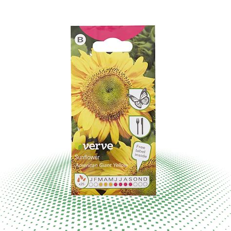 Sunflower Seed Boxes Ez Packaging