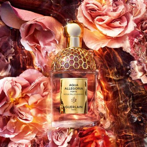 Guerlain Aqua Allegoria Forte Rosa Palissandro Eau De Parfum