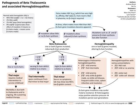 Pathway Thalassemia