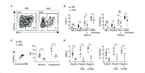 Nk Cell Functions Are Altered In Leukemic Mice Cells Were Freshly