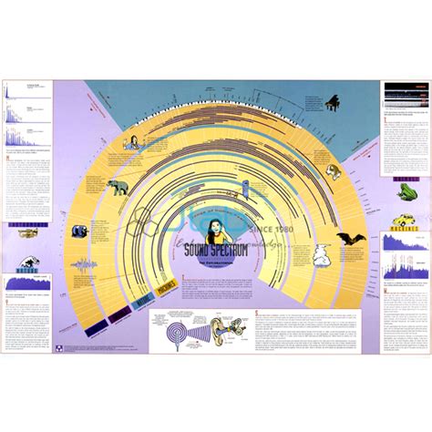 Sound Frequency Spectrum Chart