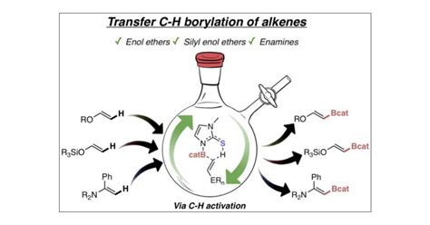 A Metal Free Approach For The Ch Activation And Transfer Borylation Of