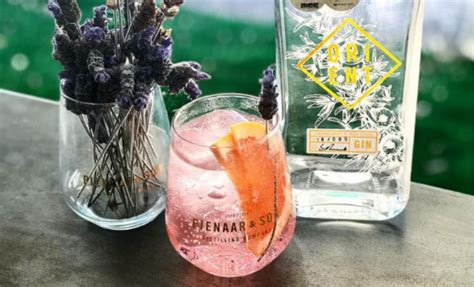 Gin tasting near me? - Daddys Deals