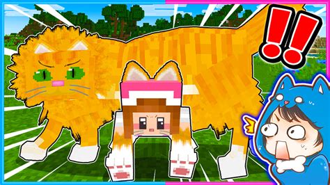 ちろぴの🐶🐱🌼マイクラ ロブロックス On Twitter 🌼今日の動画！🌼 ネコ化ぴのと一緒にサバイバルするマインクラフト🐱