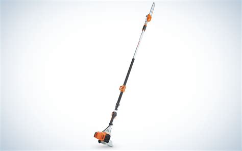 Best Pole Saws of 2023 | Outdoor Life