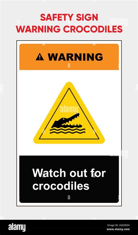 Crocodile Hazard Safety Sign Template Templates With Standard Ansi And